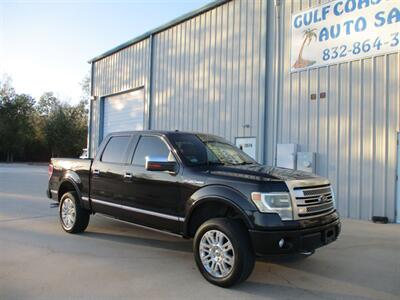 2014 Ford F-150 Platinum - Photo 5 - Santa Fe, TX 77510