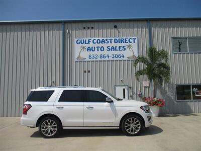 2019 Ford Expedition PLATINUM - Photo 3 - Santa Fe, TX 77510