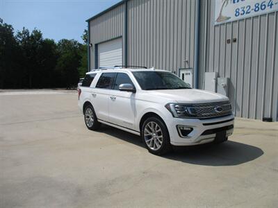 2019 Ford Expedition PLATINUM - Photo 2 - Santa Fe, TX 77510