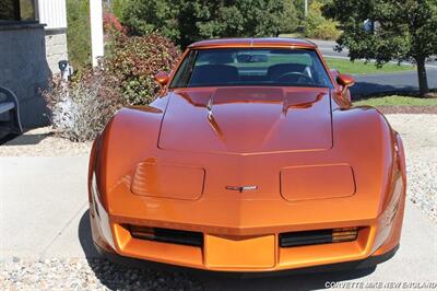 1981 Chevrolet Corvette Coupe   - Photo 15 - Carver, MA 02330