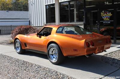 1981 Chevrolet Corvette Coupe   - Photo 9 - Carver, MA 02330