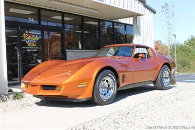 1981 Chevrolet Corvette Coupe   - Photo 11 - Carver, MA 02330