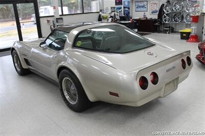 1982 Chevrolet Corvette Collector Edition   - Photo 69 - Carver, MA 02330