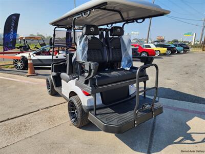 2026 VENOM STRIKE 2+2   - Photo 4 - San Juan, TX 78589