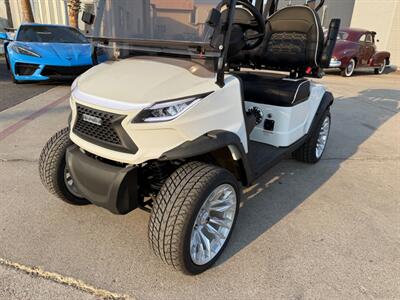 2025 VENOM EV STRIKE 2 SEATER NON LIFTED   - Photo 3 - San J Uan, TX 78589