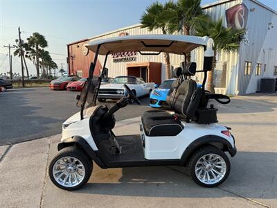 2025 VENOM EV STRIKE 2 SEATER NON LIFTED   - Photo 5 - San J Uan, TX 78589