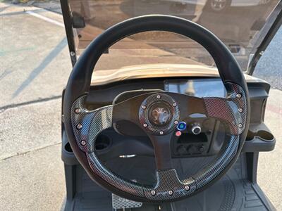 2025 VENOM EV STRIKE 2 SEATER NON LIFTED   - Photo 28 - San J Uan, TX 78589