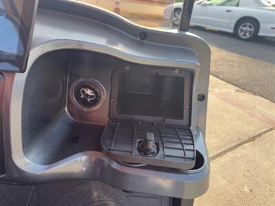 2025 VENOM EV STRIKE 2 SEATER NON LIFTED   - Photo 28 - San J Uan, TX 78589