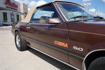 1981 Ford Mustang Ghia Convertible   - Photo 10 - San J Uan, TX 78589