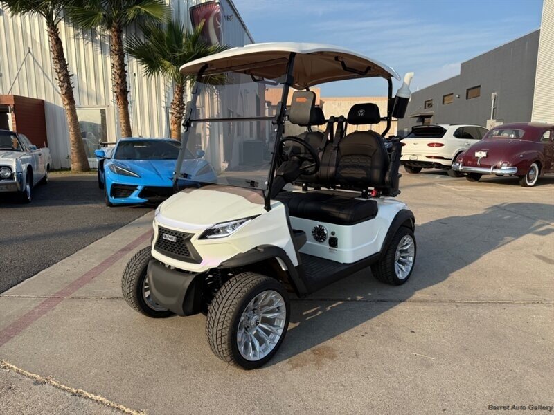2026 VENOM EV STRIKE 2   - Photo 1 - San Juan, TX 78589