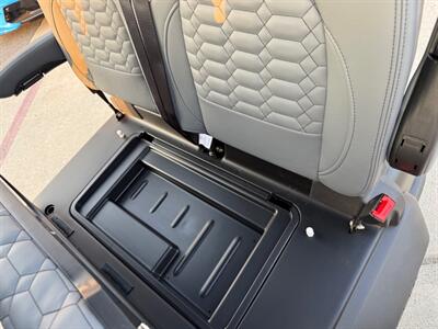 2026 VENOM EV STEALTH 4 SEATER LIFTED   - Photo 24 - San J Uan, TX 78589