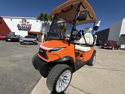 2025 VENOM EV STRIKE 2 SEATER NON LIFTED   - Photo 9 - San J Uan, TX 78589