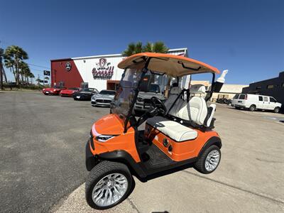 2025 VENOM EV STRIKE 2 SEATER NON LIFTED   - Photo 1 - San J Uan, TX 78589