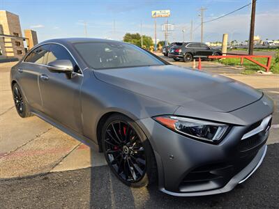 2019 Mercedes-Benz CLS CLS 450   - Photo 8 - San J Uan, TX 78589