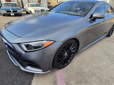 2019 Mercedes-Benz CLS CLS 450   - Photo 10 - San J Uan, TX 78589