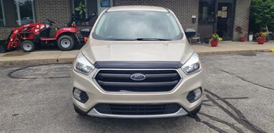 2017 Ford Escape SE   - Photo 9 - Hemlock, MI 48626