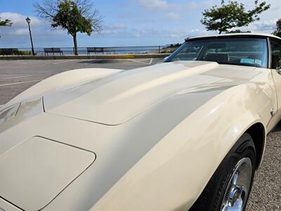 1979 Chevrolet Corvette Coupe   - Photo 39 - Roslyn, NY 11576