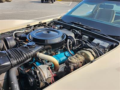 1979 Chevrolet Corvette Coupe   - Photo 128 - Roslyn, NY 11576