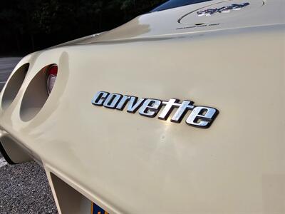 1979 Chevrolet Corvette Coupe   - Photo 24 - Roslyn, NY 11576