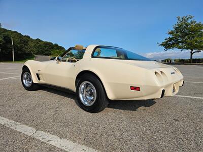 1979 Chevrolet Corvette Coupe   - Photo 7 - Roslyn, NY 11576