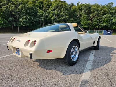 1979 Chevrolet Corvette Coupe   - Photo 5 - Roslyn, NY 11576