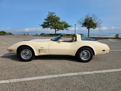 1979 Chevrolet Corvette Coupe   - Photo 8 - Roslyn, NY 11576