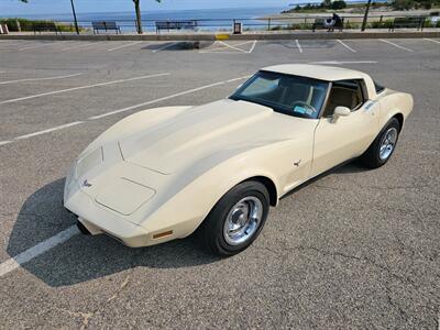 1979 Chevrolet Corvette Coupe   - Photo 37 - Roslyn, NY 11576