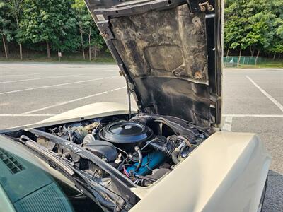 1979 Chevrolet Corvette Coupe   - Photo 121 - Roslyn, NY 11576