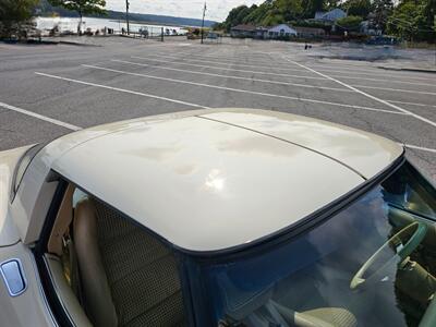 1979 Chevrolet Corvette Coupe   - Photo 35 - Roslyn, NY 11576