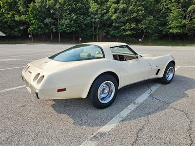 1979 Chevrolet Corvette Coupe   - Photo 30 - Roslyn, NY 11576