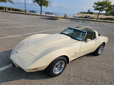 1979 Chevrolet Corvette Coupe   - Photo 20 - Roslyn, NY 11576