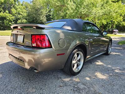 2002 Ford Mustang GT Deluxe - Photo 9 - Roslyn, NY 11576