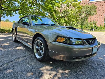 2002 Ford Mustang GT Deluxe - Photo 7 - Roslyn, NY 11576