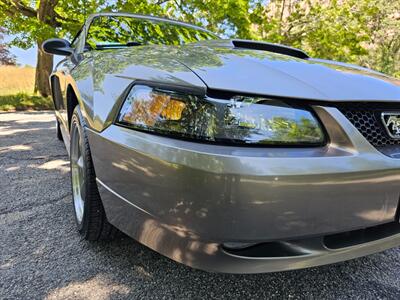 2002 Ford Mustang GT Deluxe - Photo 14 - Roslyn, NY 11576