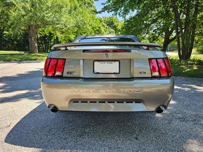 2002 Ford Mustang GT Deluxe - Photo 10 - Roslyn, NY 11576