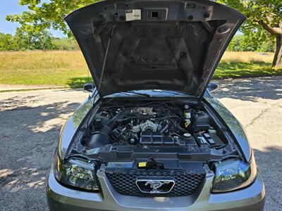 2002 Ford Mustang GT Deluxe - Photo 61 - Roslyn, NY 11576