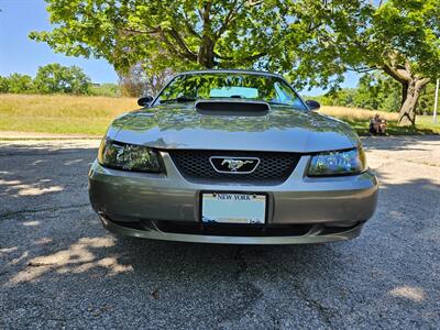 2002 Ford Mustang GT Deluxe - Photo 6 - Roslyn, NY 11576