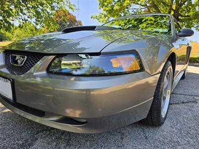 2002 Ford Mustang GT Deluxe - Photo 13 - Roslyn, NY 11576