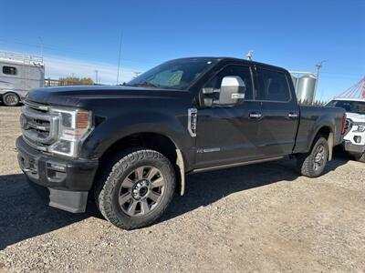 2020 Ford F-350 Super Duty Platinum   - Photo 1 - Magrath, AL 21804