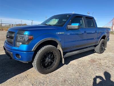 2014 Ford F-150 FX4   - Photo 1 - Magrath, AL 21804