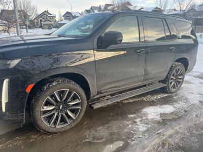 2022 Cadillac Escalade Sport Platinum   - Photo 1 - Magrath, AL 21804