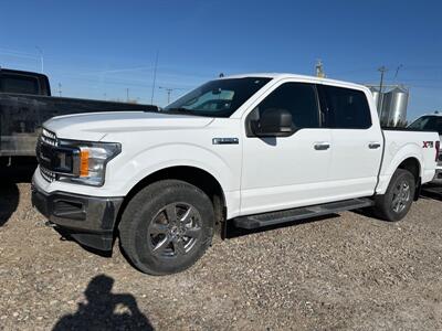 2020 Ford F-150 XLT   - Photo 1 - Magrath, AL 21804