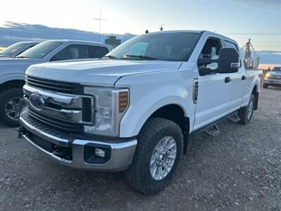 2019 Ford F-250 Super Duty XLT   - Photo 1 - Magrath, AL 21804