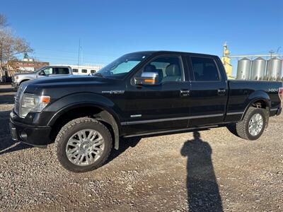 2014 Ford F-150 Platinum   - Photo 1 - Magrath, AL 21804