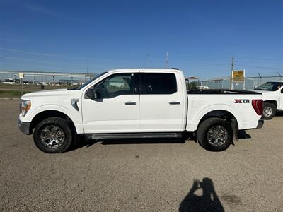 2021 Ford F-150 XLT   - Photo 2 - Magrath, AL 21804