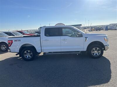 2021 Ford F-150 XLT   - Photo 6 - Magrath, AL 21804