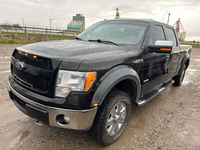 2013 Ford F-150 XLT   - Photo 1 - Magrath, AL 21804