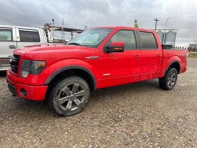 2013 Ford F-150 FX4   - Photo 1 - Magrath, AL 21804