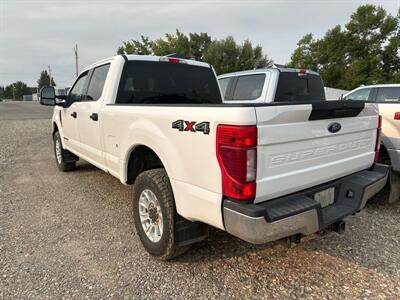 2020 Ford F-250 Super Duty XLT   - Photo 4 - Magrath, AL 21804