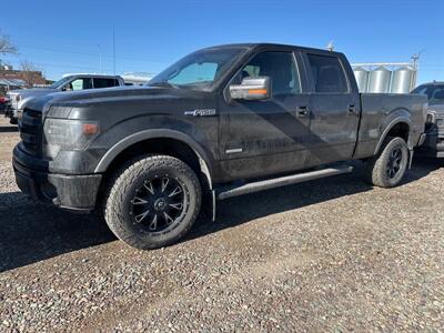 2013 Ford F-150 FX4   - Photo 1 - Magrath, AL 21804